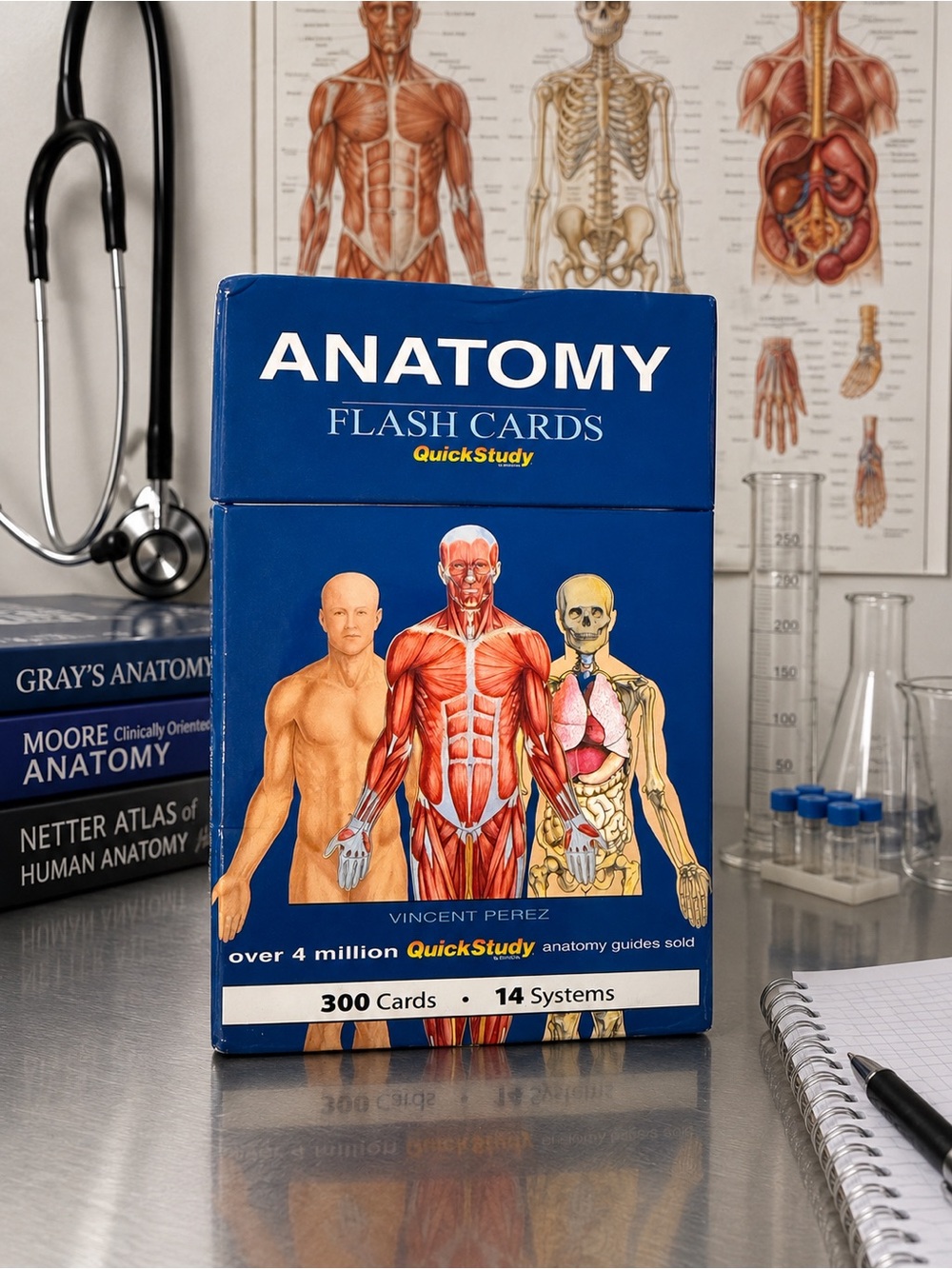 Anatomy Flash Cards - QuickStudy - Blue